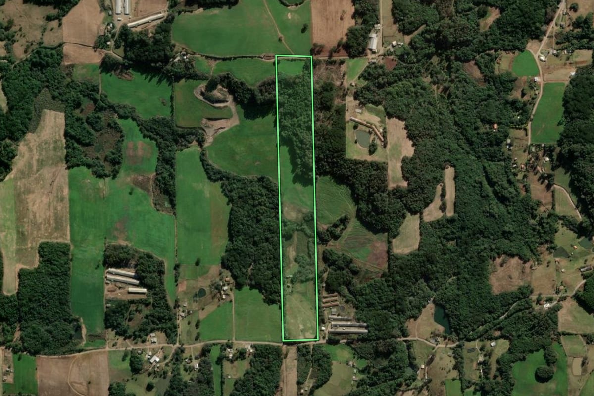 Imagem de satélite do imóvel rural em Vila Flores (RS), com o contorno declarado no CAR desenhado por cima.