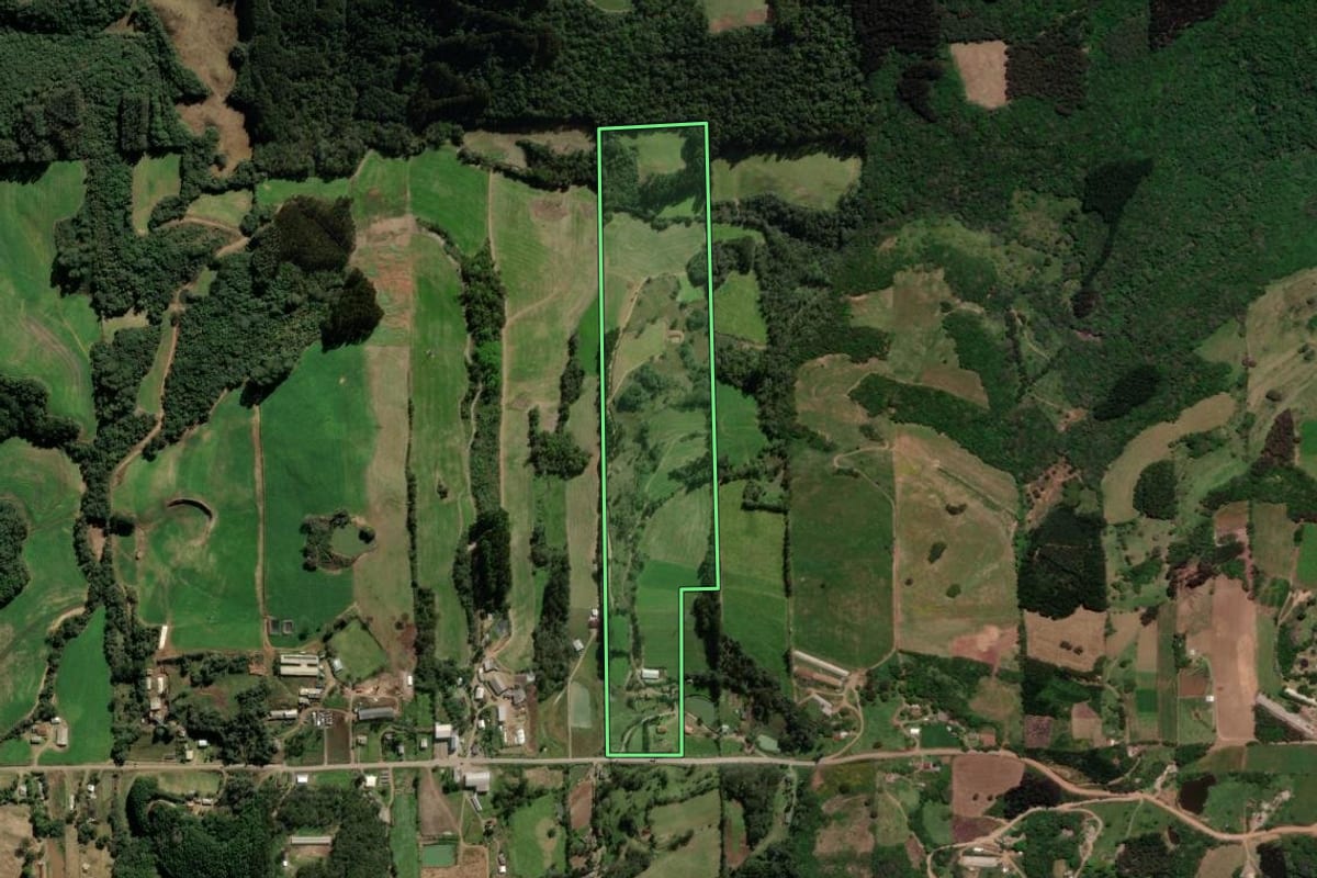 Imagem de satélite do imóvel rural em Vila Flores (RS), com o contorno declarado no CAR desenhado por cima.