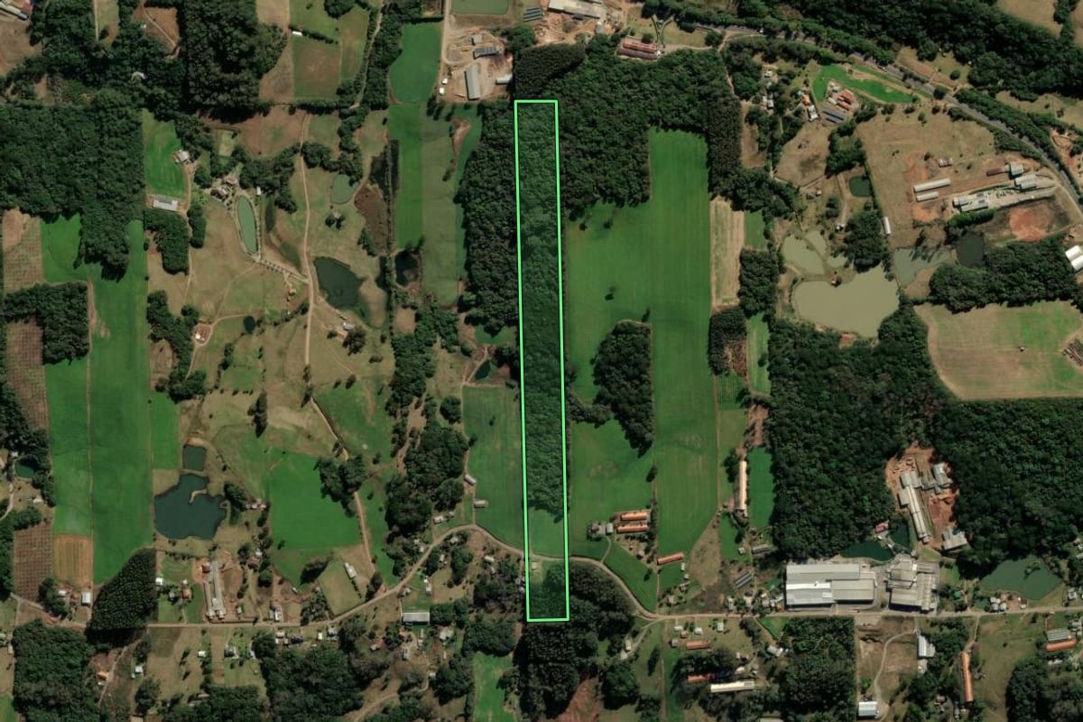 Imagem de satélite do imóvel rural em Vila Flores (RS), com o contorno declarado no CAR desenhado por cima.