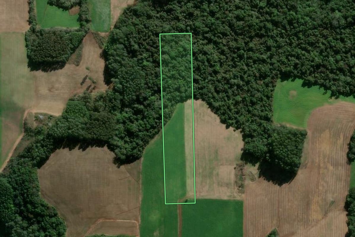 Imagem de satélite do imóvel rural em Vila Flores (RS), com o contorno declarado no CAR desenhado por cima.