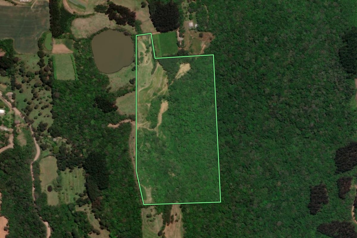 Imagem de satélite do imóvel rural em Vila Flores (RS), com o contorno declarado no CAR desenhado por cima.