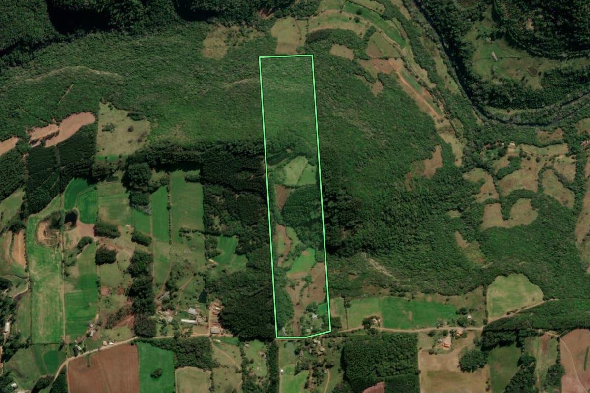 Imagem de satélite do imóvel rural em Vila Flores (RS), com o contorno declarado no CAR desenhado por cima.