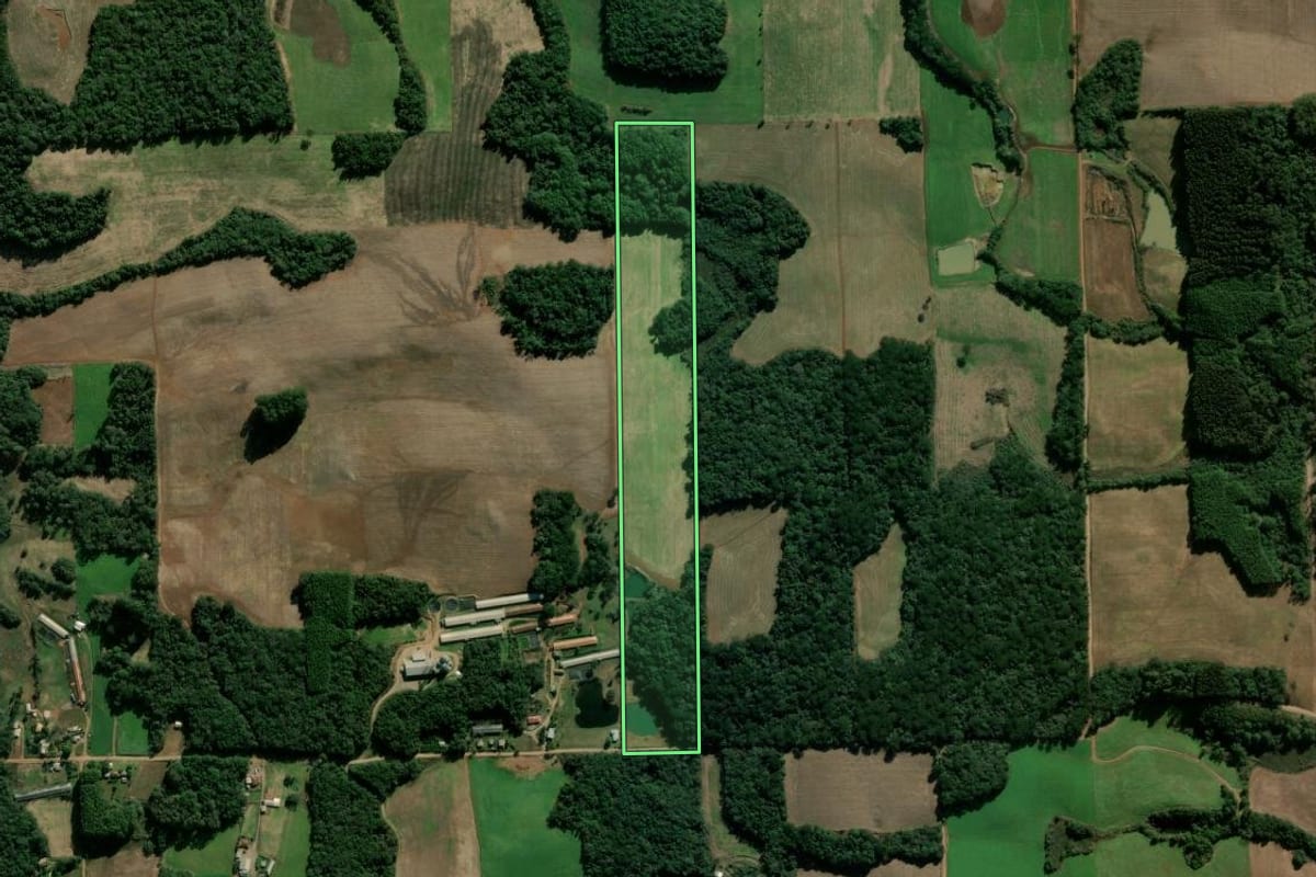 Imagem de satélite do imóvel rural em Vila Flores (RS), com o contorno declarado no CAR desenhado por cima.