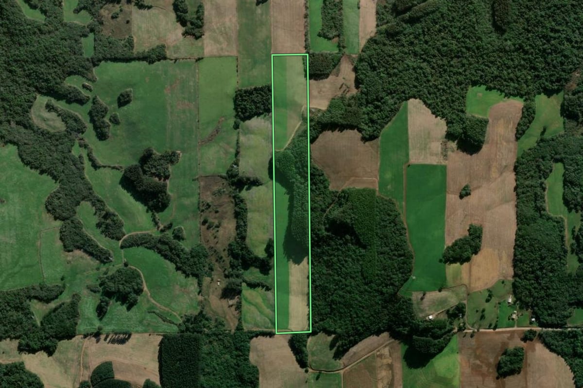 Imagem de satélite do imóvel rural em Vila Flores (RS), com o contorno declarado no CAR desenhado por cima.