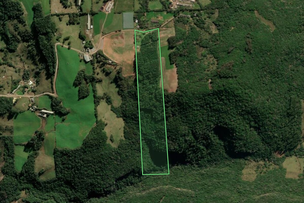 Imagem de satélite do imóvel rural em Vila Flores (RS), com o contorno declarado no CAR desenhado por cima.