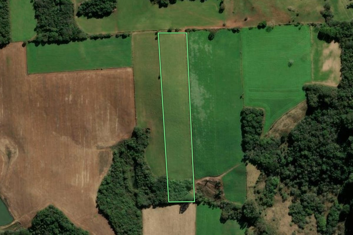 Imagem de satélite do imóvel rural em Vila Flores (RS), com o contorno declarado no CAR desenhado por cima.