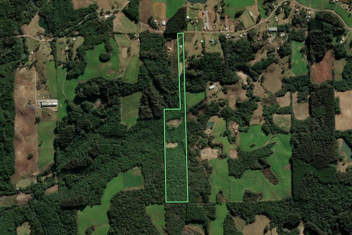 Imagem de satélite do imóvel rural em Vila Flores (RS), com o contorno declarado no CAR desenhado por cima.