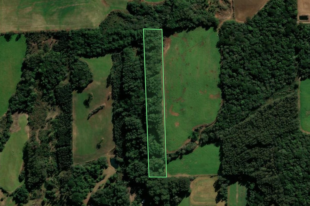 Imagem de satélite do imóvel rural em Vila Flores (RS), com o contorno declarado no CAR desenhado por cima.