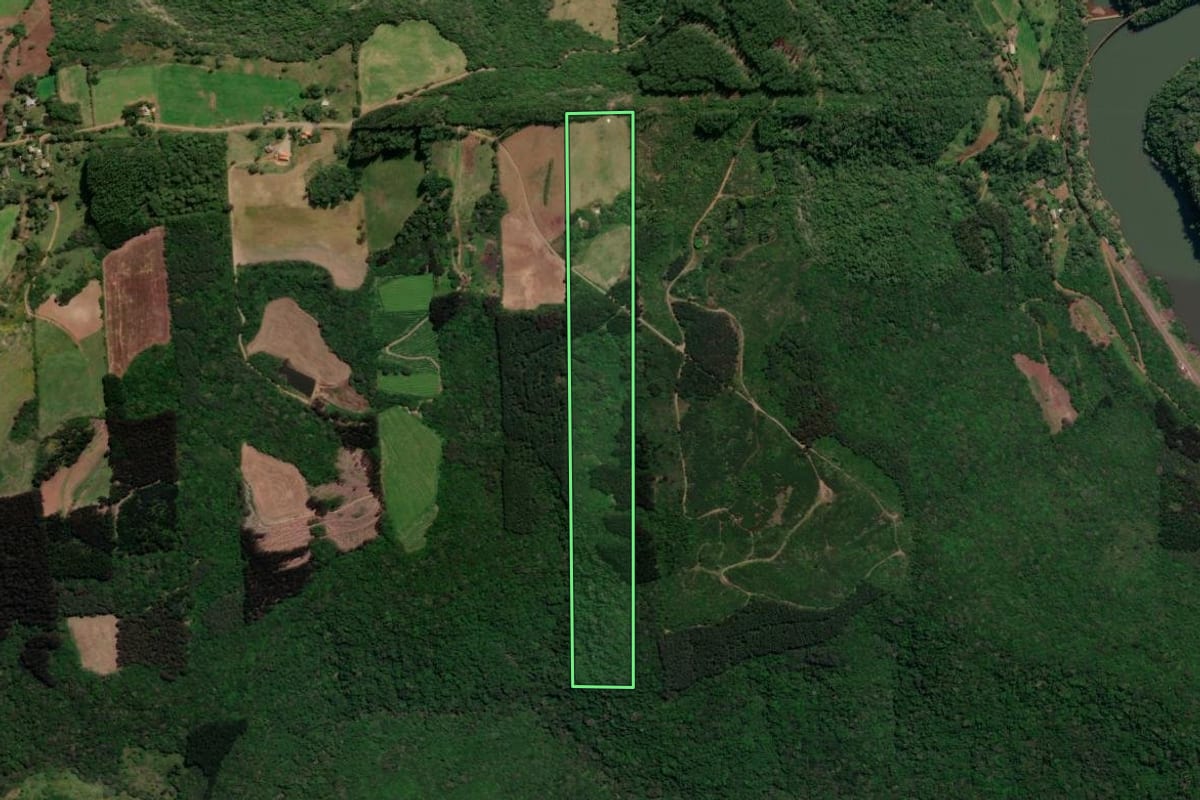 Imagem de satélite do imóvel rural em Vila Flores (RS), com o contorno declarado no CAR desenhado por cima.