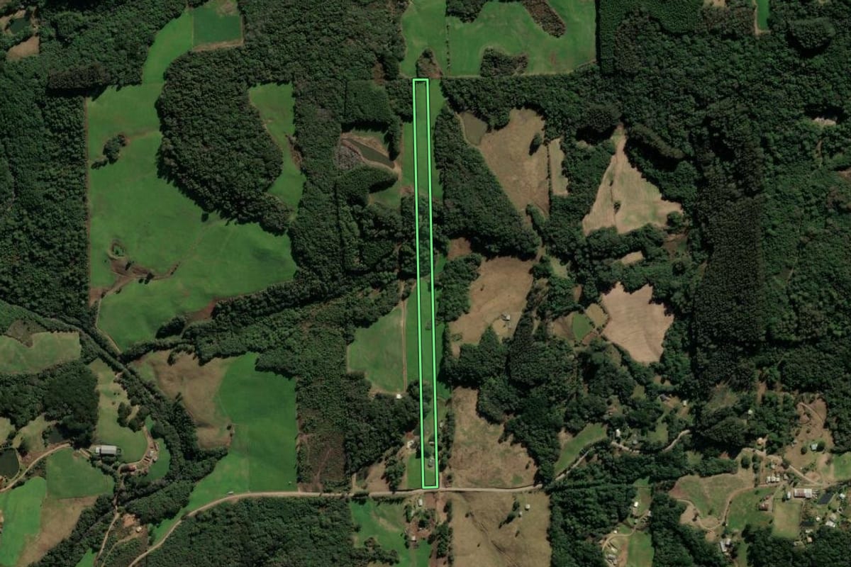 Imagem de satélite do imóvel rural em Vila Flores (RS), com o contorno declarado no CAR desenhado por cima.