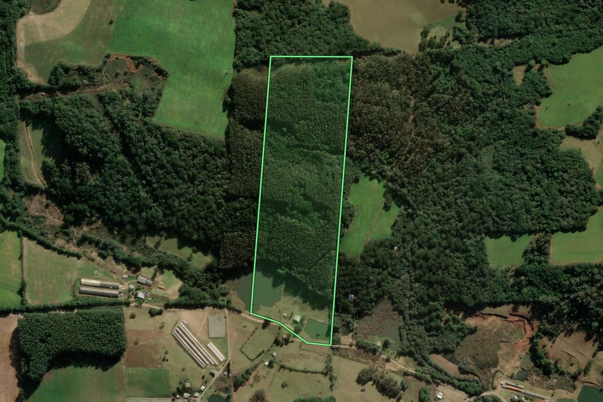 Imagem de satélite do imóvel rural em Vila Flores (RS), com o contorno declarado no CAR desenhado por cima.