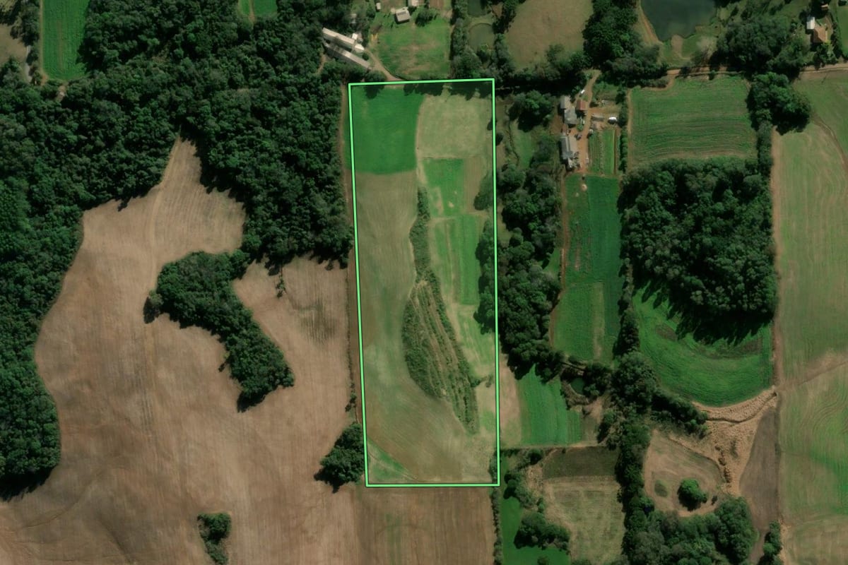 Imagem de satélite do imóvel rural em Vila Flores (RS), com o contorno declarado no CAR desenhado por cima.