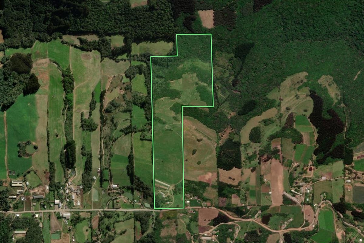 Imagem de satélite do imóvel rural em Vila Flores (RS), com o contorno declarado no CAR desenhado por cima.