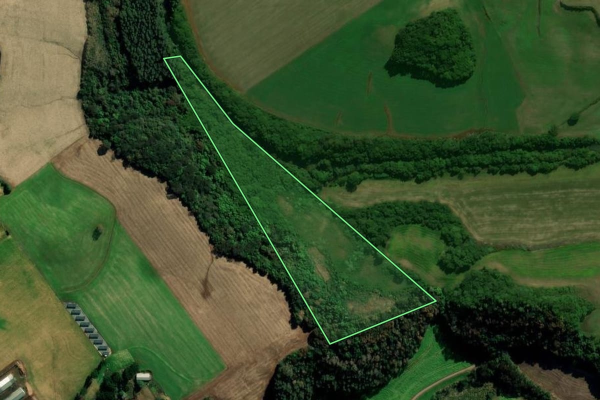 Imagem de satélite do imóvel rural em Vila Lângaro (RS), com o contorno declarado no CAR desenhado por cima.