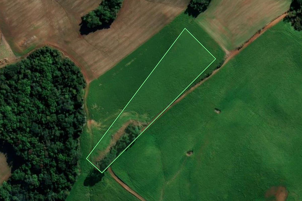 Imagem de satélite do imóvel rural em Vila Lângaro (RS), com o contorno declarado no CAR desenhado por cima.