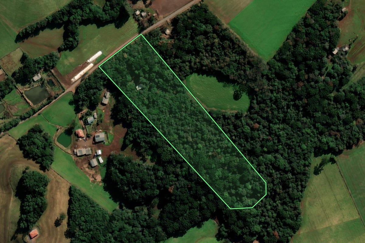 Imagem de satélite do imóvel rural em Vila Lângaro (RS), com o contorno declarado no CAR desenhado por cima.