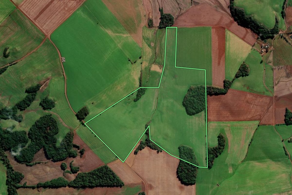 Imagem de satélite do imóvel rural em Vila Lângaro (RS), com o contorno declarado no CAR desenhado por cima.