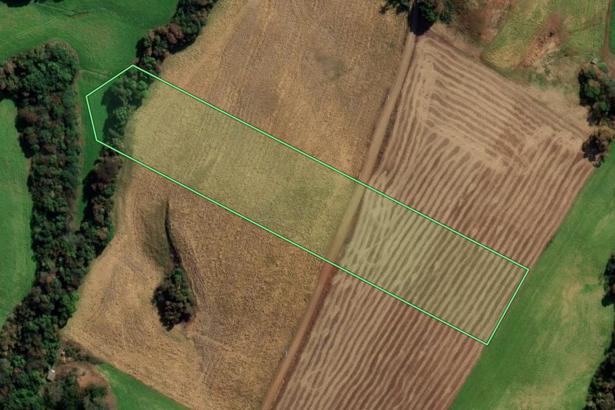 Imagem de satélite do imóvel rural em Vila Lângaro (RS), com o contorno declarado no CAR desenhado por cima.