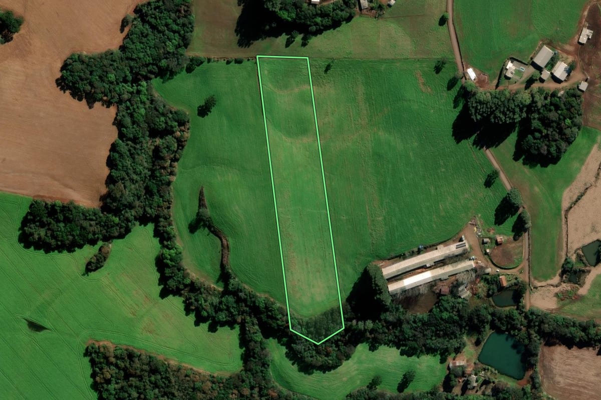 Imagem de satélite do imóvel rural em Vila Lângaro (RS), com o contorno declarado no CAR desenhado por cima.