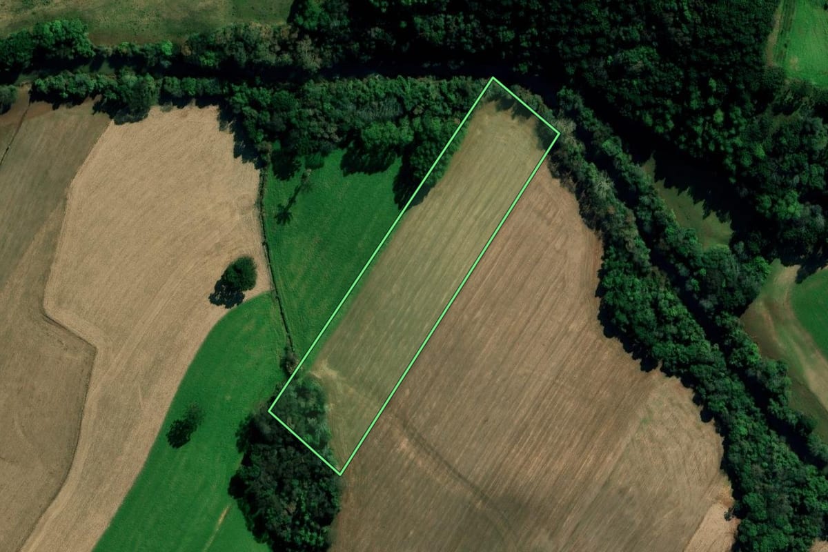 Imagem de satélite do imóvel rural em Vila Lângaro (RS), com o contorno declarado no CAR desenhado por cima.