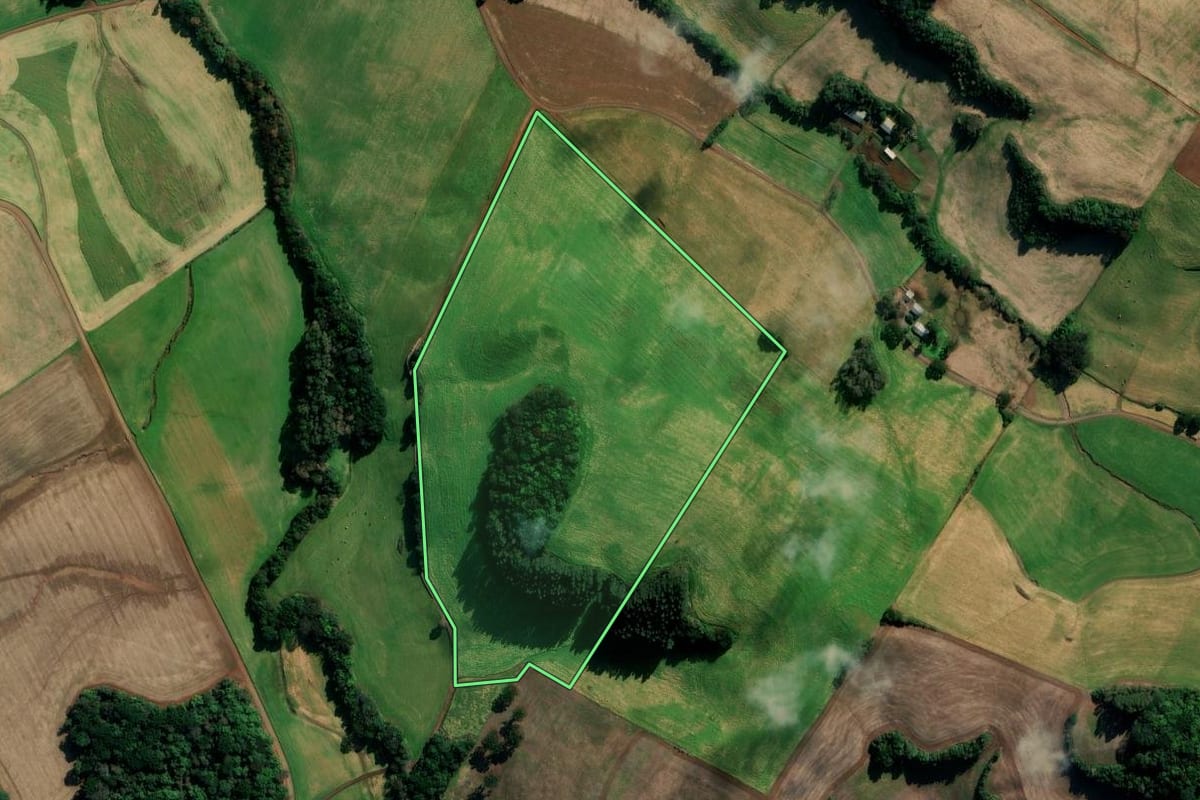 Imagem de satélite do imóvel rural em Vila Lângaro (RS), com o contorno declarado no CAR desenhado por cima.