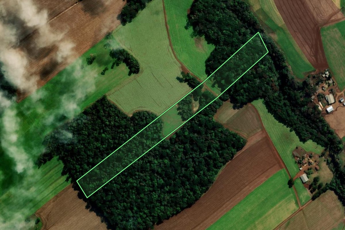 Imagem de satélite do imóvel rural em Vila Lângaro (RS), com o contorno declarado no CAR desenhado por cima.