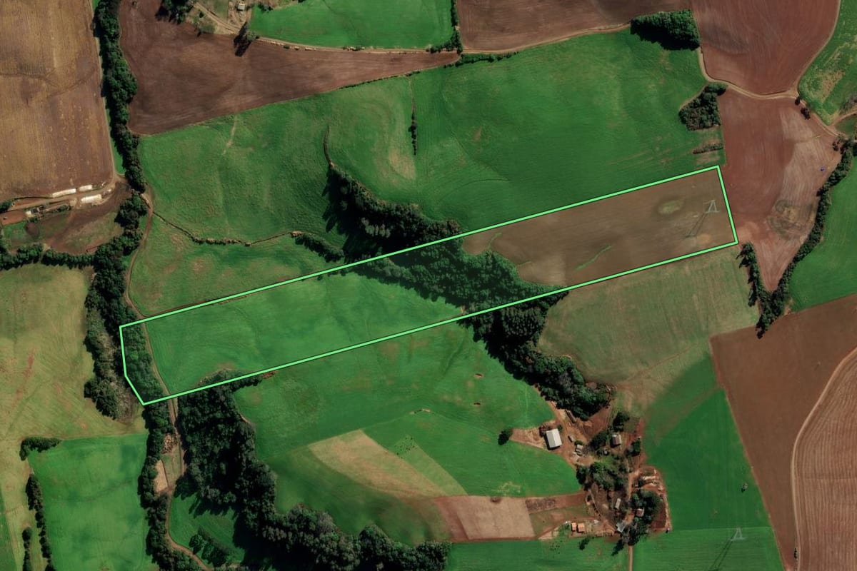 Imagem de satélite do imóvel rural em Vila Lângaro (RS), com o contorno declarado no CAR desenhado por cima.