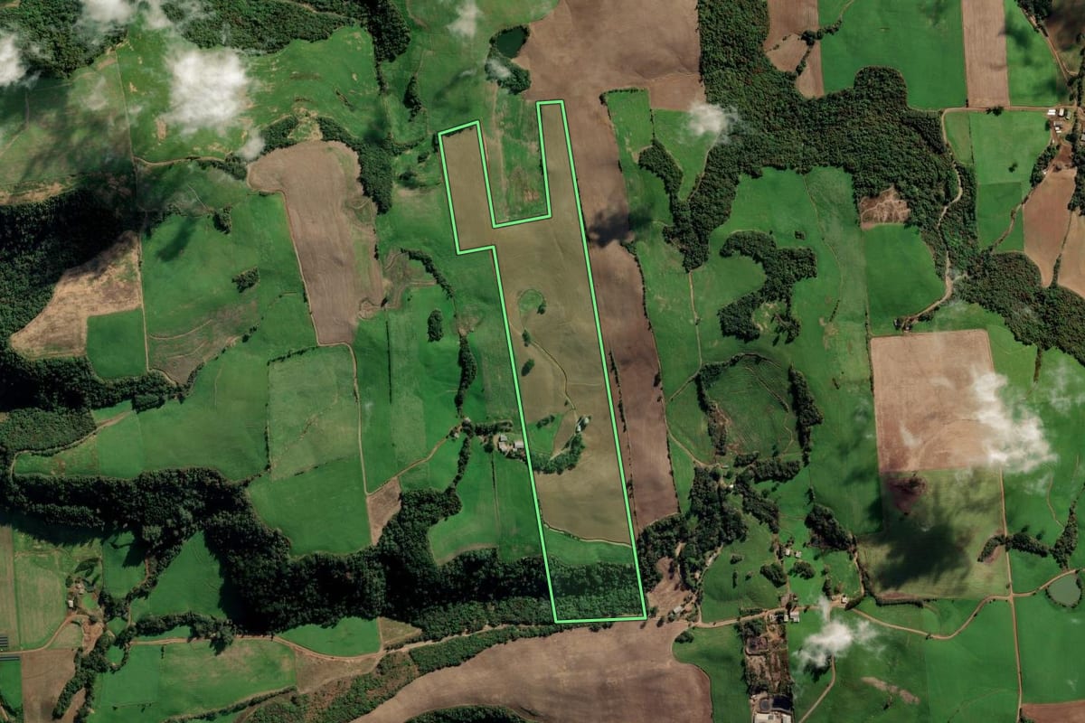 Imagem de satélite do imóvel rural em Vila Maria (RS), com o contorno declarado no CAR desenhado por cima.