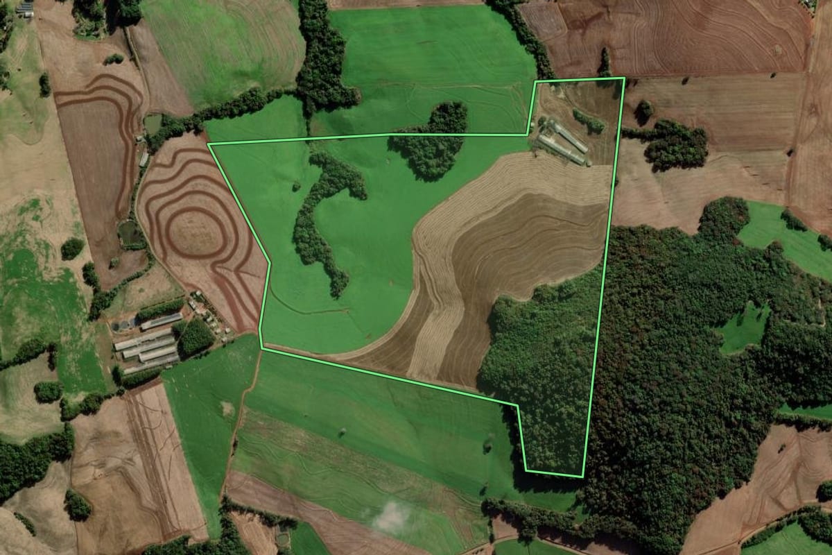 Imagem de satélite do imóvel rural em Vila Maria (RS), com o contorno declarado no CAR desenhado por cima.