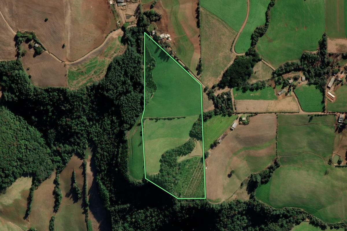 Imagem de satélite do imóvel rural em Vila Maria (RS), com o contorno declarado no CAR desenhado por cima.