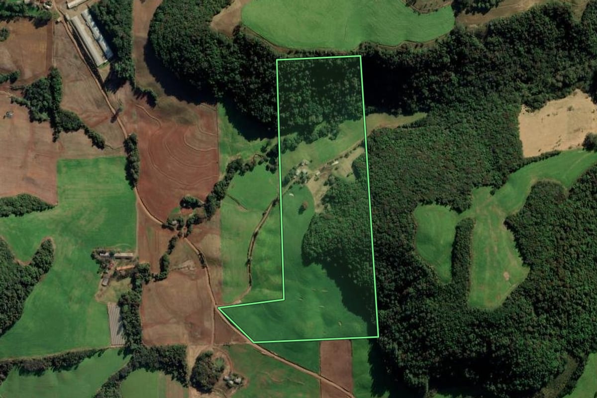 Imagem de satélite do imóvel rural em Vila Maria (RS), com o contorno declarado no CAR desenhado por cima.