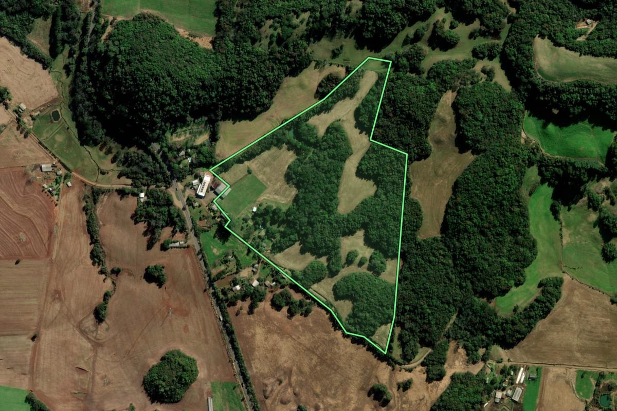 Imagem de satélite do imóvel rural em Vila Maria (RS), com o contorno declarado no CAR desenhado por cima.
