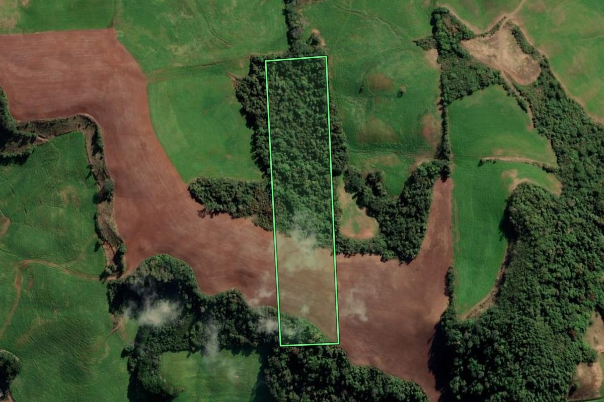 Imagem de satélite do imóvel rural em Vila Maria (RS), com o contorno declarado no CAR desenhado por cima.