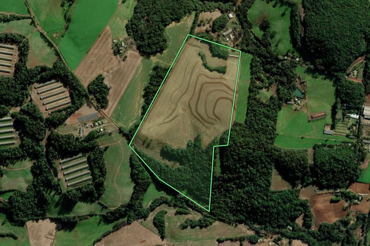 Imagem de satélite do imóvel rural em Vila Maria (RS), com o contorno declarado no CAR desenhado por cima.