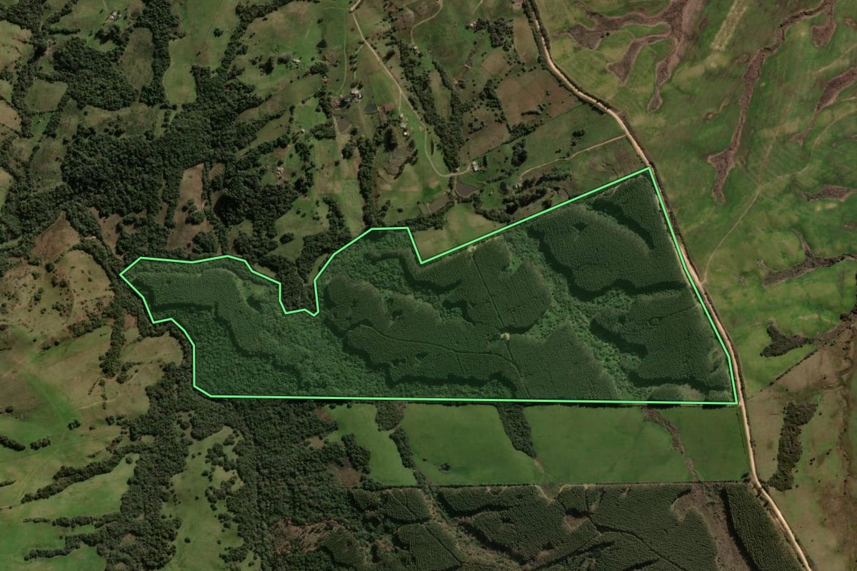 Imagem de satélite do imóvel rural em Vila Nova do Sul (RS), com o contorno declarado no CAR desenhado por cima.