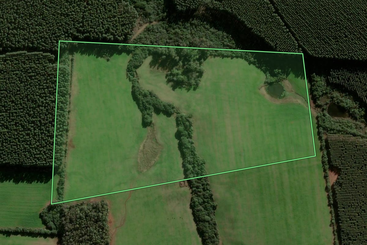 Imagem de satélite do imóvel rural em Vila Nova do Sul (RS), com o contorno declarado no CAR desenhado por cima.