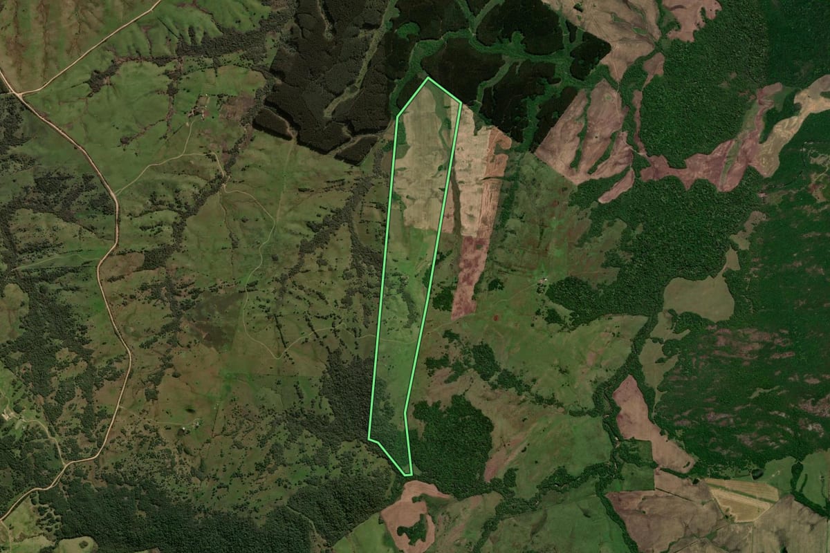 Imagem de satélite do imóvel rural em Vila Nova do Sul (RS), com o contorno declarado no CAR desenhado por cima.