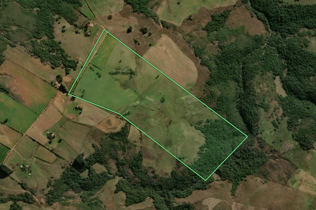 Imagem de satélite do imóvel rural em Vila Nova do Sul (RS), com o contorno declarado no CAR desenhado por cima.
