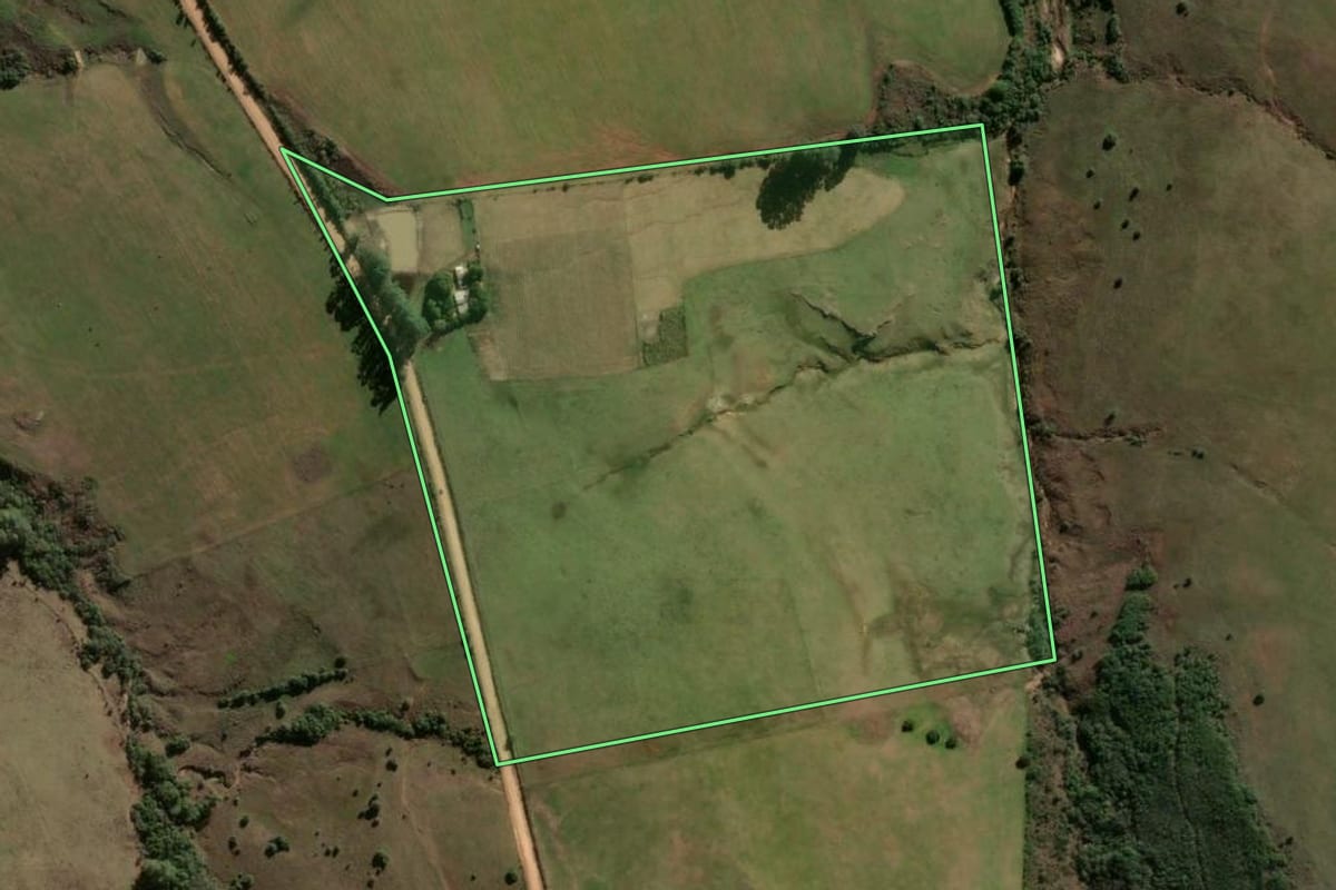 Imagem de satélite do imóvel rural em Vila Nova do Sul (RS), com o contorno declarado no CAR desenhado por cima.