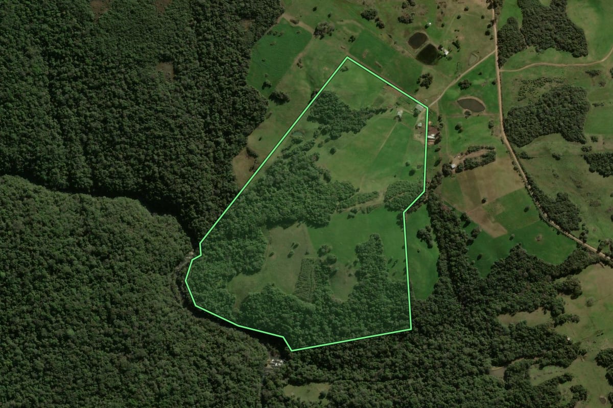 Imagem de satélite do imóvel rural em Vila Nova do Sul (RS), com o contorno declarado no CAR desenhado por cima.