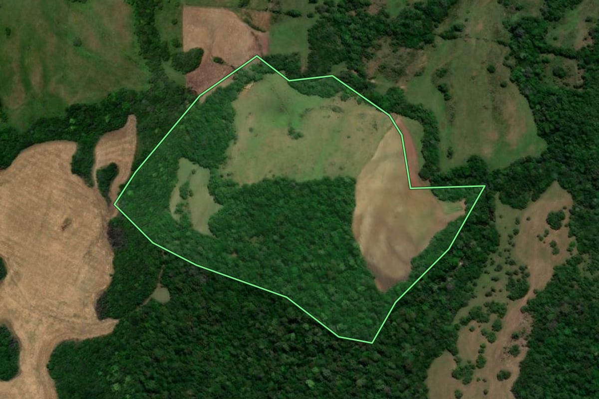 Imagem de satélite do imóvel rural em Vila Nova do Sul (RS), com o contorno declarado no CAR desenhado por cima.