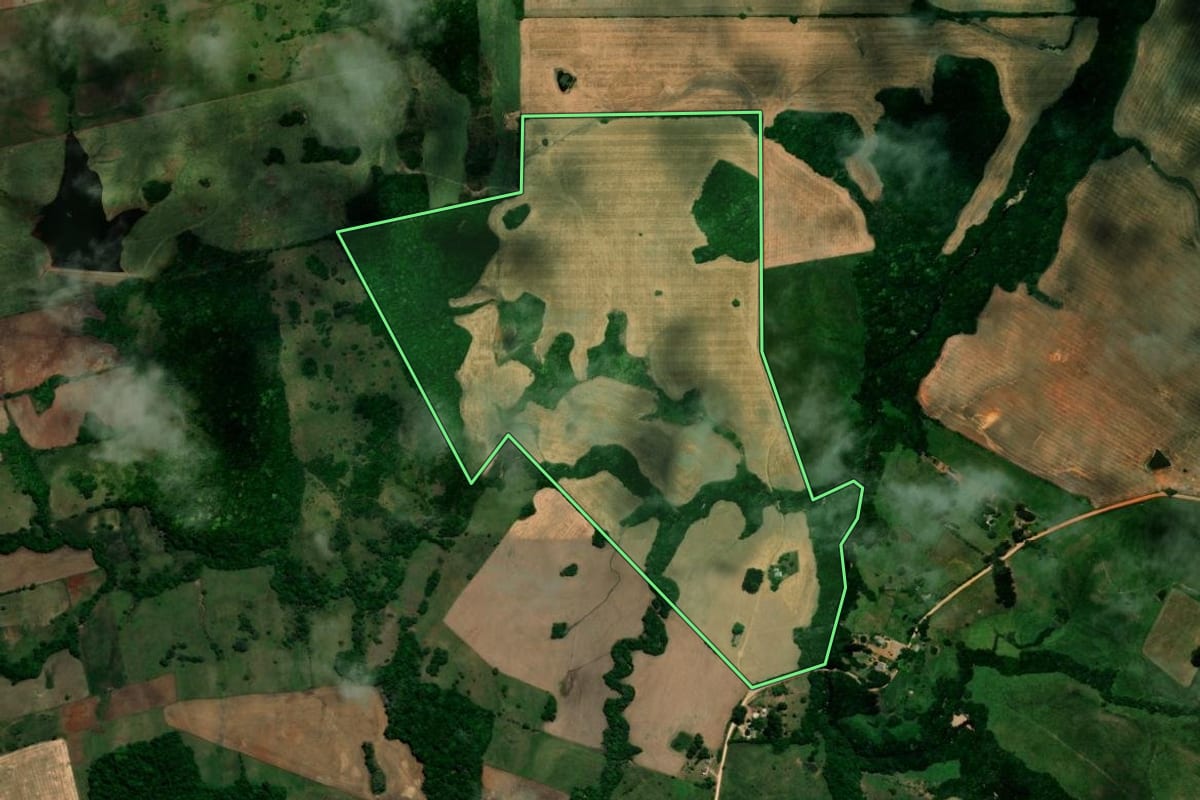 Imagem de satélite do imóvel rural em Vila Nova do Sul (RS), com o contorno declarado no CAR desenhado por cima.