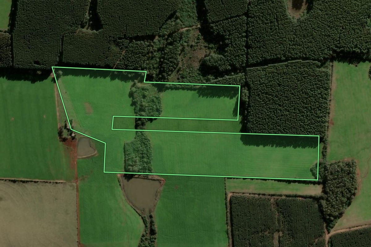 Imagem de satélite do imóvel rural em Vila Nova do Sul (RS), com o contorno declarado no CAR desenhado por cima.