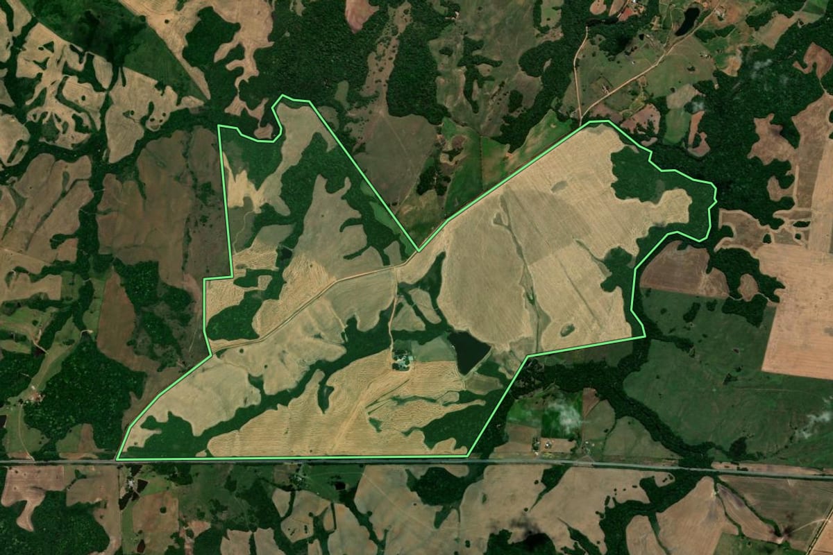 Imagem de satélite do imóvel rural em Vila Nova do Sul (RS), com o contorno declarado no CAR desenhado por cima.