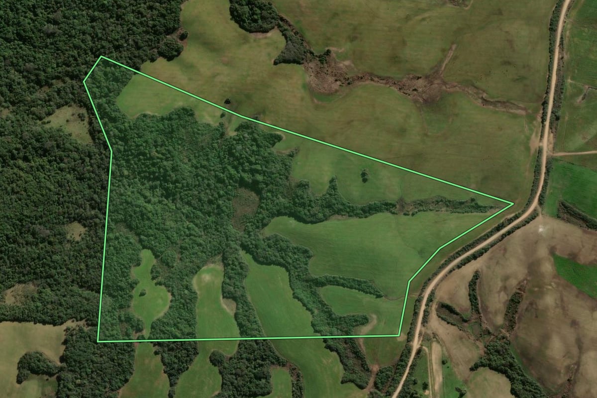 Imagem de satélite do imóvel rural em Vila Nova do Sul (RS), com o contorno declarado no CAR desenhado por cima.