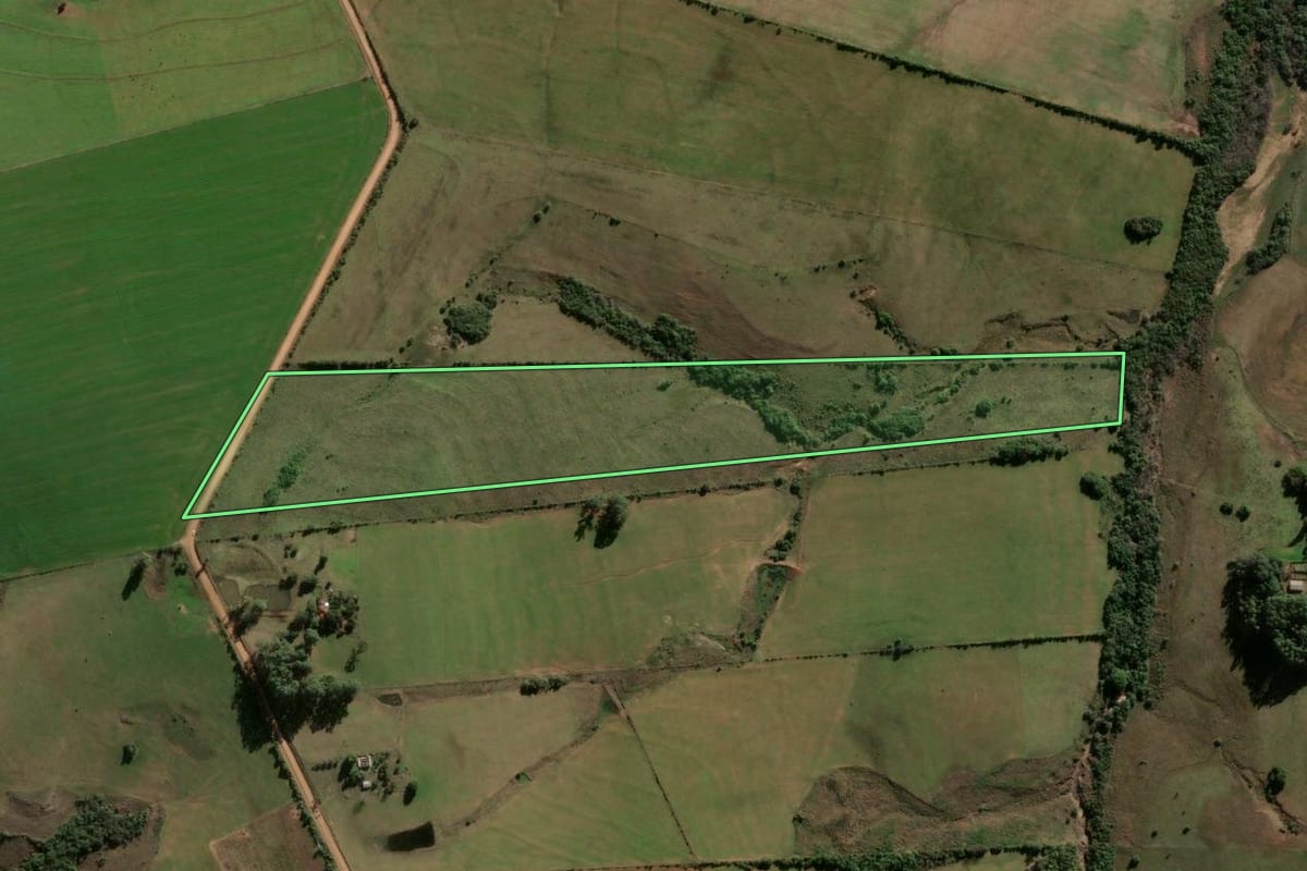 Imagem de satélite do imóvel rural em Vila Nova do Sul (RS), com o contorno declarado no CAR desenhado por cima.