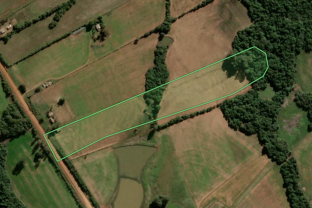 Imagem de satélite do imóvel rural em Vila Nova do Sul (RS), com o contorno declarado no CAR desenhado por cima.