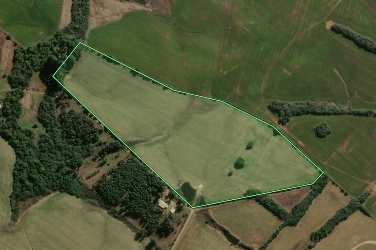Imagem de satélite do imóvel rural em Vila Nova do Sul (RS), com o contorno declarado no CAR desenhado por cima.