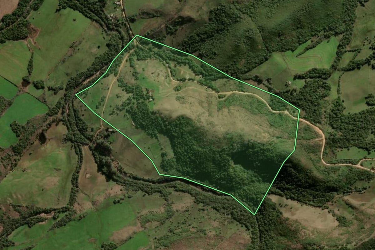 Imagem de satélite do imóvel rural em Vila Nova do Sul (RS), com o contorno declarado no CAR desenhado por cima.