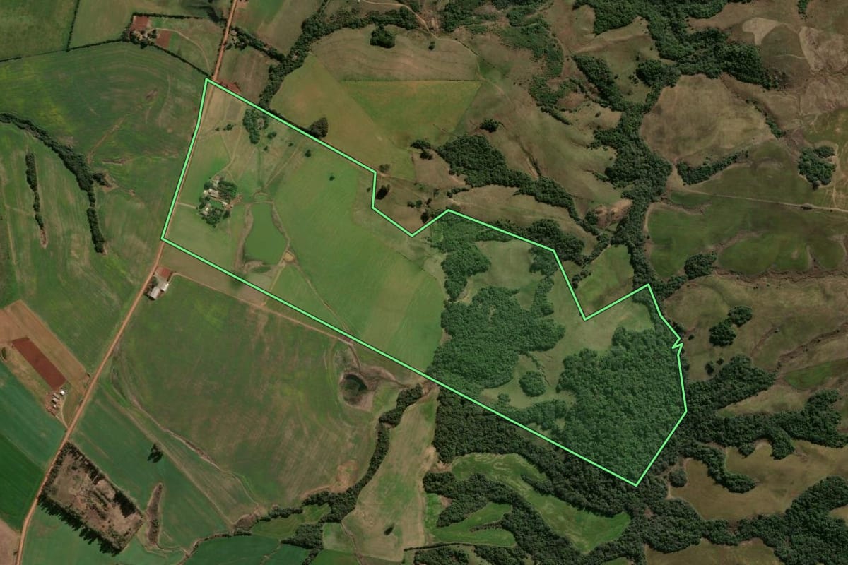 Imagem de satélite do imóvel rural em Vila Nova do Sul (RS), com o contorno declarado no CAR desenhado por cima.